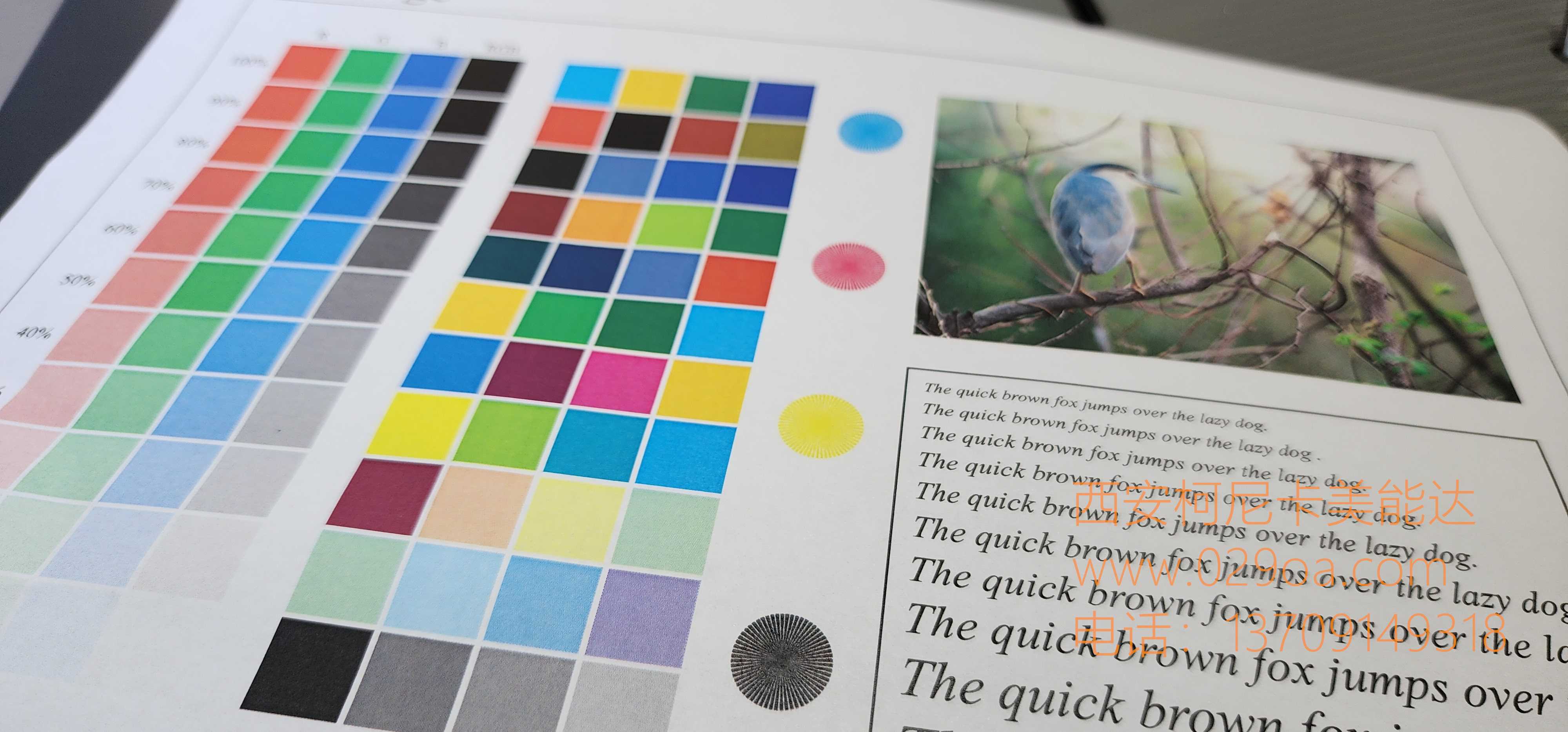 西安震旦复印机、多功能一体机整机销售,配件维修,耗材配送。售后维修电话:13709149318 |西安震旦复印机|西安震旦打印机|西安震旦|西安震旦复印机维修|震旦auror|震旦打印机机维修|西安震旦复印机维修电话|西安震旦彩色复印机|西安震旦打印机维修|西安打印机维修|西安复印机维修